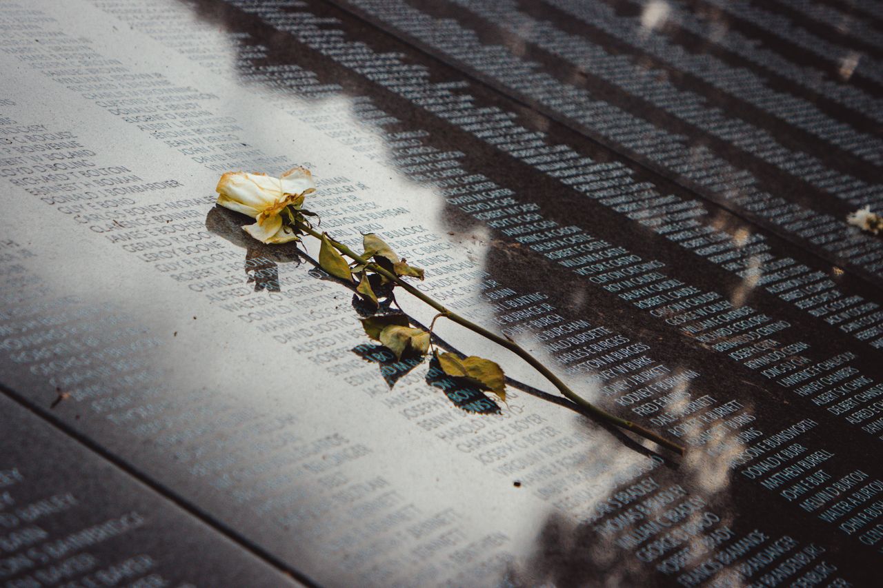 Home A white rose placed on a reflective memorial wall listing names, conveying remembrance.