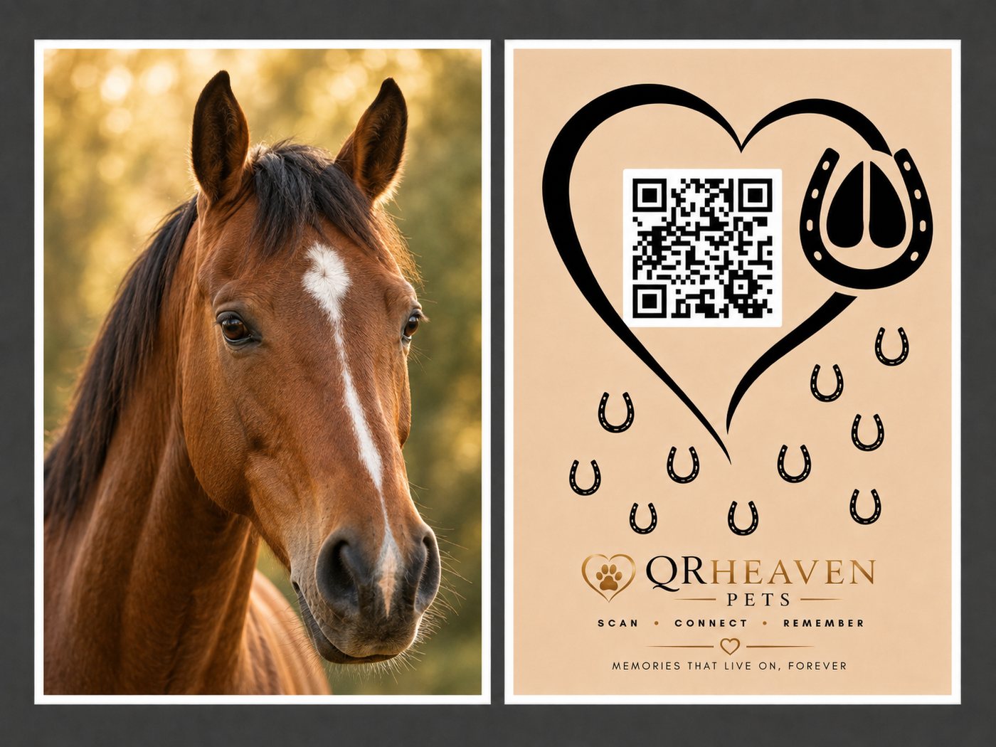 QR Heaven Pets — Horse Memorial Plaque